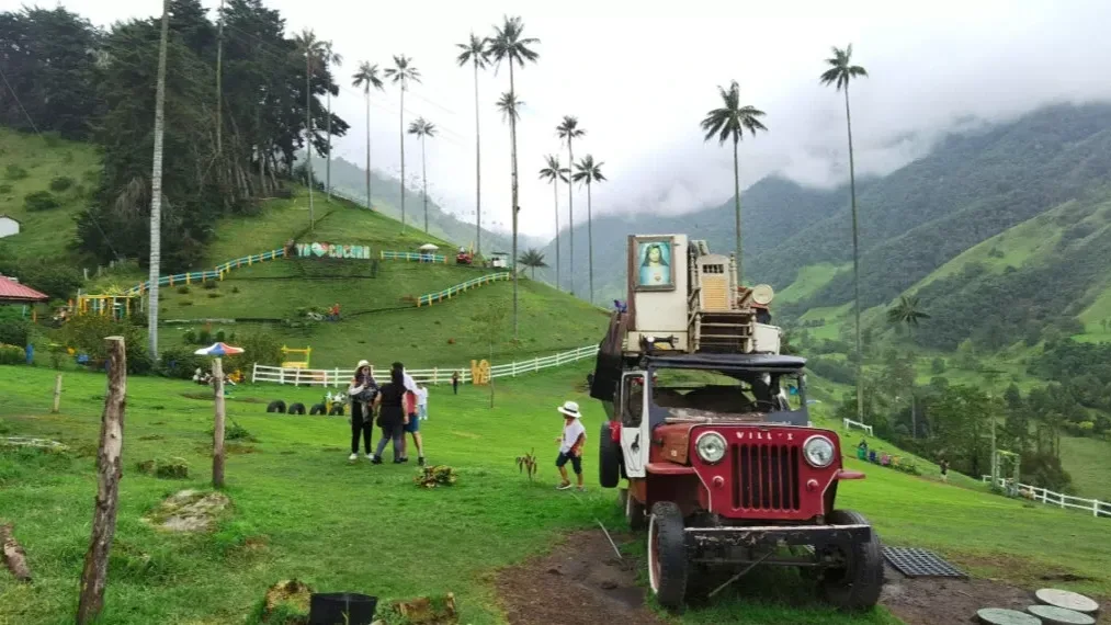El Valle de Cocora estrena senderos ecológicos y tecnológicos para proteger la palma de