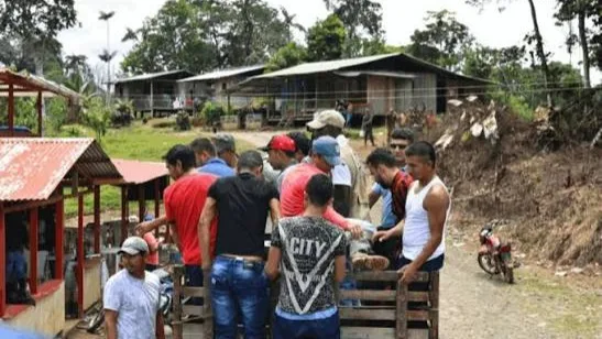 Defensoría alerta por riesgos de violencia y desplazamiento en Nariño