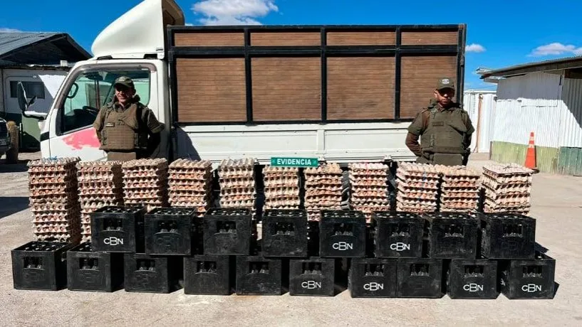 Nariño: decomisan más de 149.000 huevos de contrabando en la frontera con Ecuador