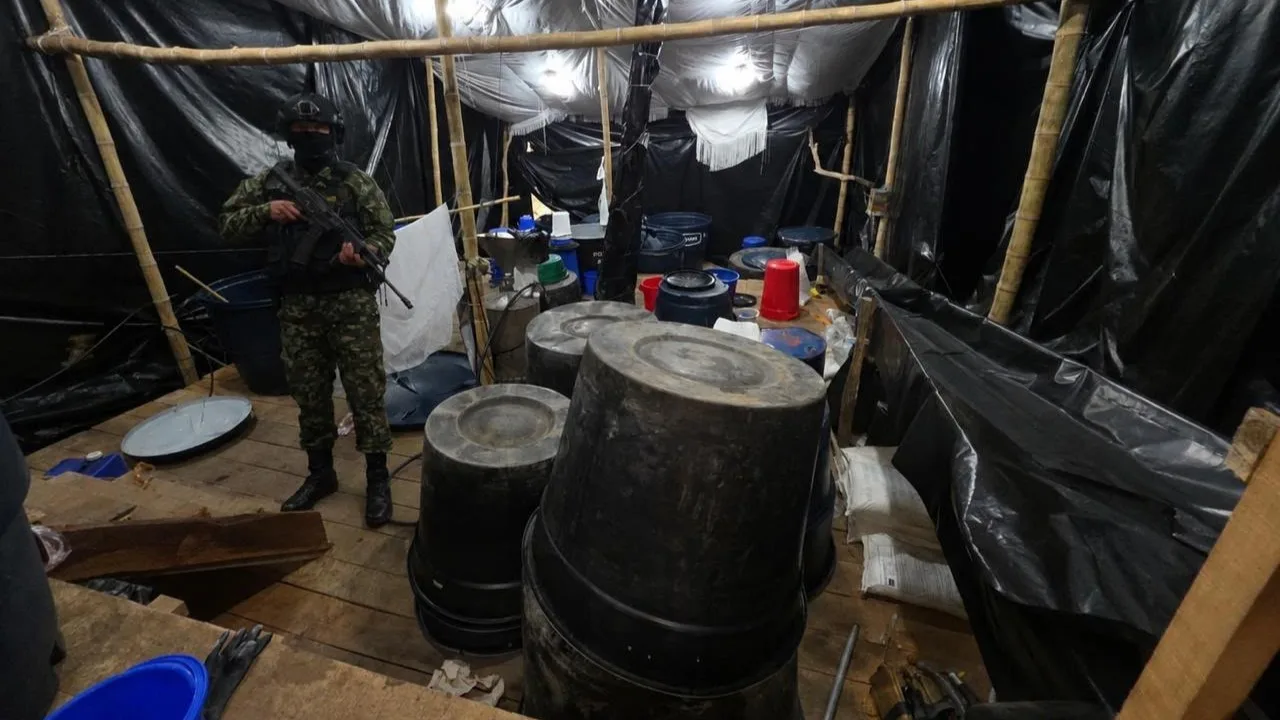 Afectan finanzas del ELN tras destruir complejo para procesar cocaína en Nariño