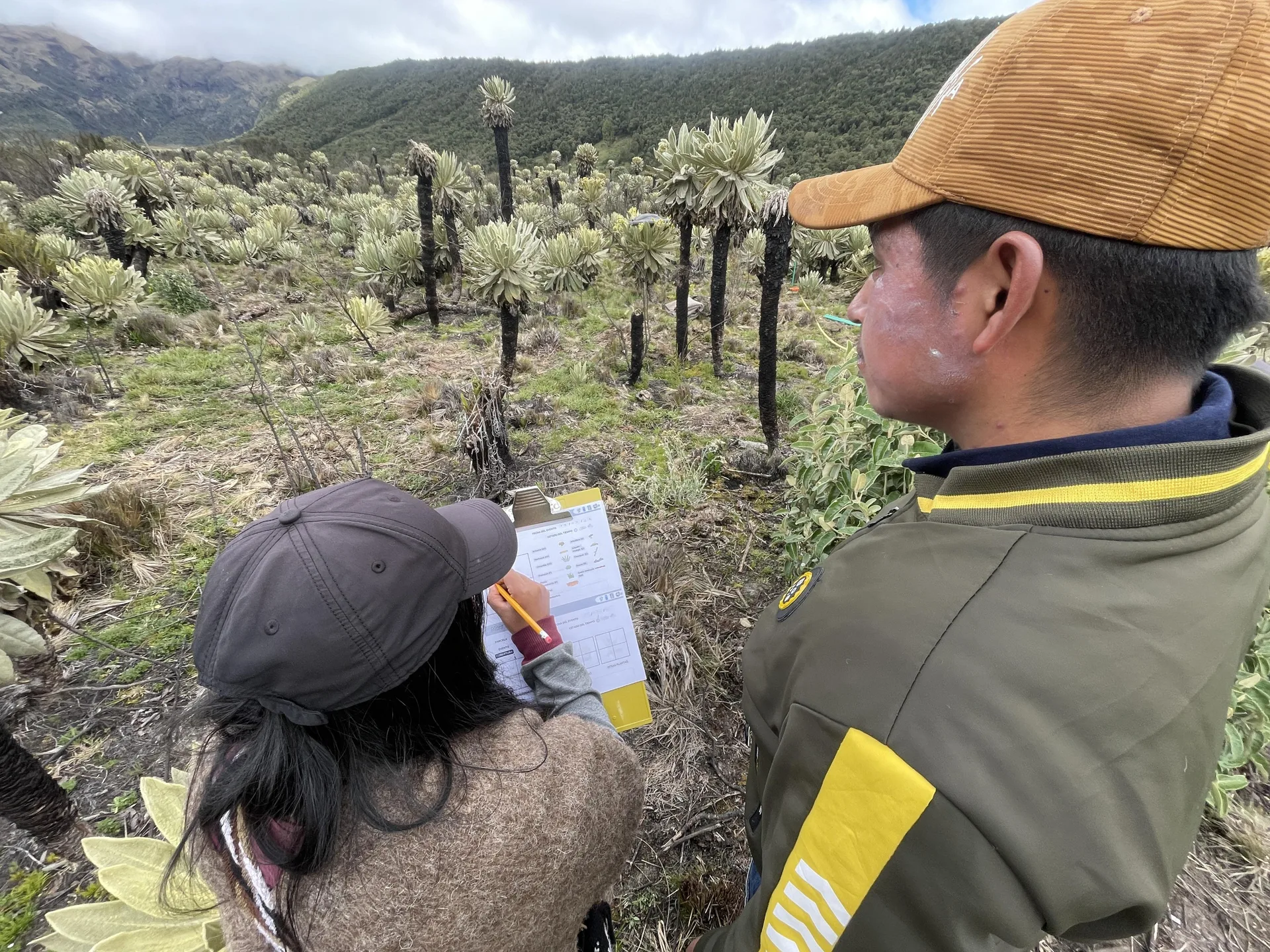 En las montañas de Nariño, cuidar la naturaleza es una forma de cuidar a la familia