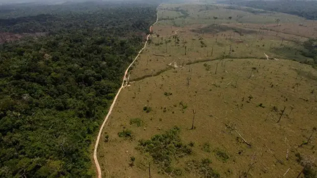 La pérdida de biodiversidad amenaza a la economía mundial