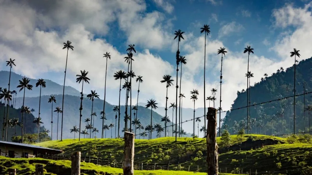 Colombia impulsa un plan mundial para redirigir subsidios que dañan la naturaleza