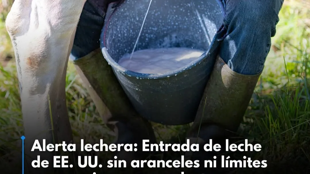 El desbalance económico asfixia la rentabilidad campesina