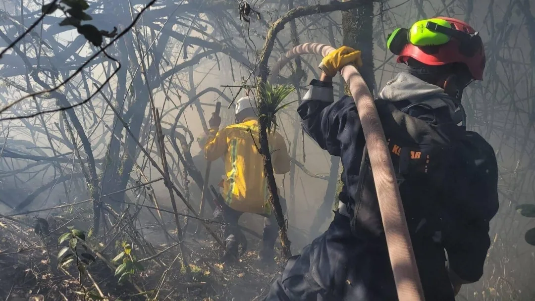 Incendio forestal en Ipiales consumió cerca de 30 hectáreas