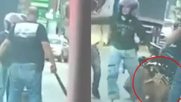 Conductor de tractocamión habría atacado con machete a un perro y a sus dueños en la vía.