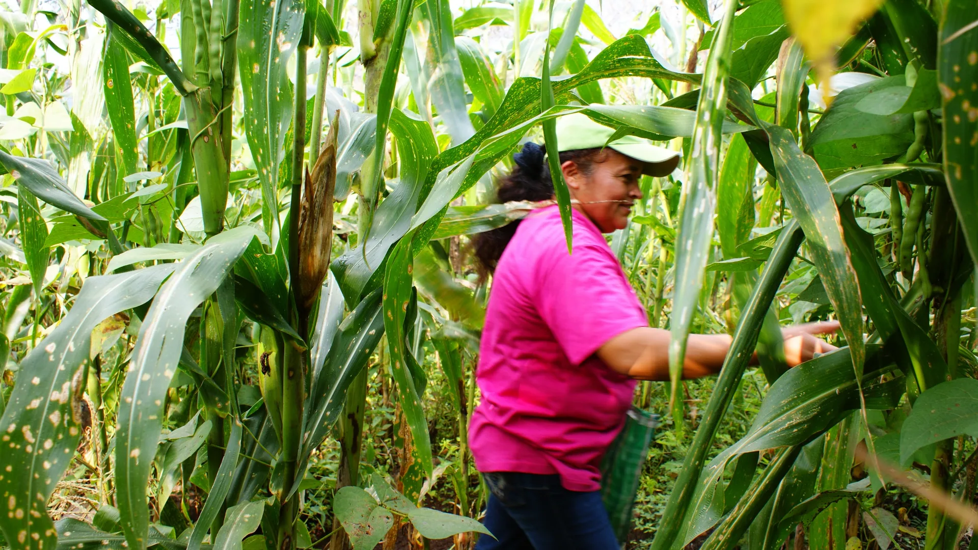 Economía colombiana cayó en agosto de 2026