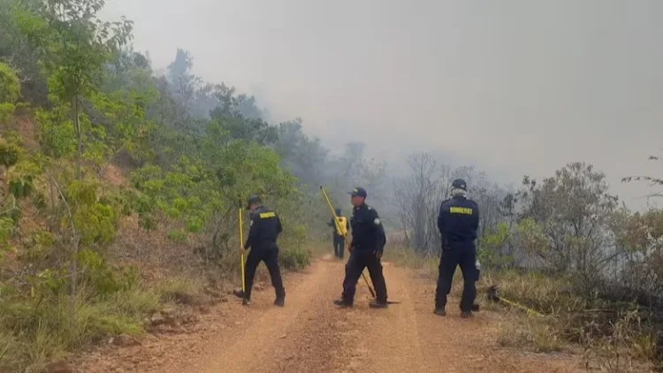 Incendio forestal afecta hasta 40 hectáreas del cerro Tasajero en Cúcuta