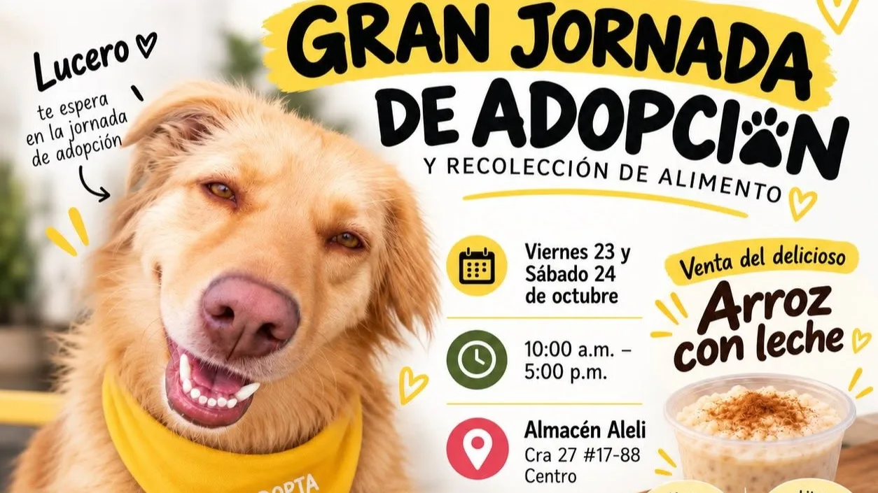 Jornada de adopción y recolección de alimento busca ayudar a 320 perros y gatos en Pasto