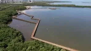 Barranquilla recibe importante distinción de la ONU