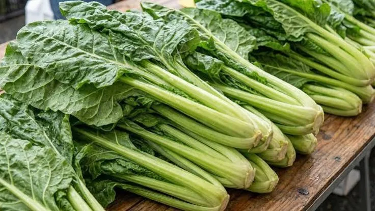 La acelga: una verdura rica en vitaminas que favorece la salud
