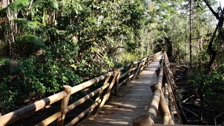 Inversión pública renueva diecisiete parques para beneficiar a miles de habitantes
