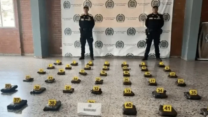 Agentes incautan cargamento de marihuana oculto en bodegas de envíos de la terminal aérea