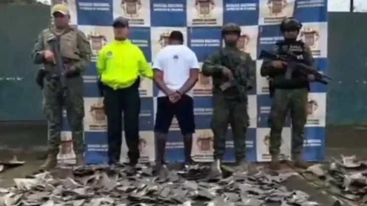 Incautan miles de aletas de tiburón destinadas al tráfico ilegal de fauna marina