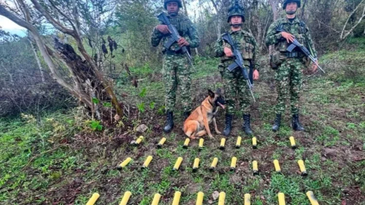 Fuerzas armadas hallan depósito con granadas artesanales pertenecientes a grupos armados