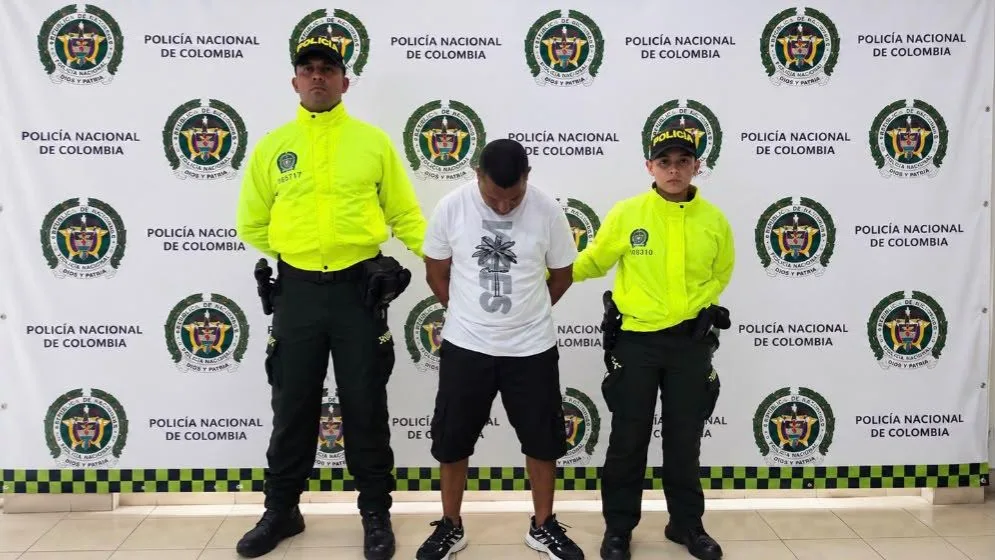 Golpe al tráfico ilegal de fauna marina: incautan más de 4.200 aletas de tiburón en Tumaco