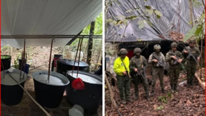 Destruye complejo del Eln que producía cocaína: Incautaron 856 kilogramos de droga