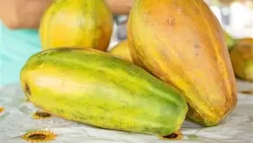 Una fruta versátil para disfrutar la papaya