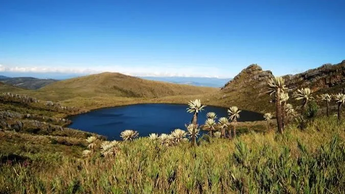 Parque Nacional Natural Chingaza muy cerca de Bogota.