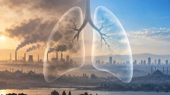 Estudio revela que la contaminación por fósiles causa 26.500 muertes en Turquía