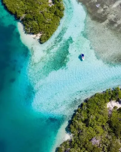 Morrocoy