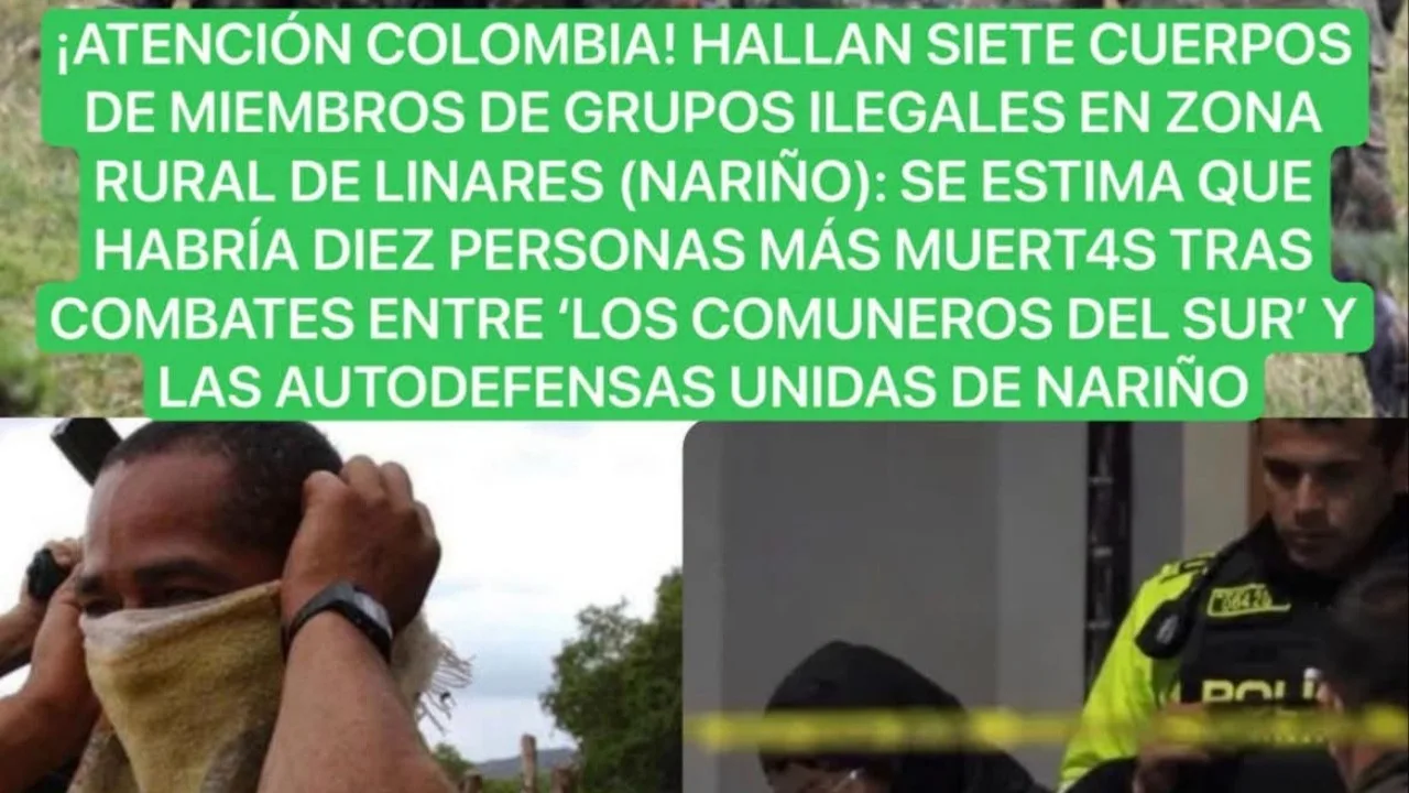 Hallan siete cuerpos tras combates entre grupos ilegales en zona rural de Linares, Nariño