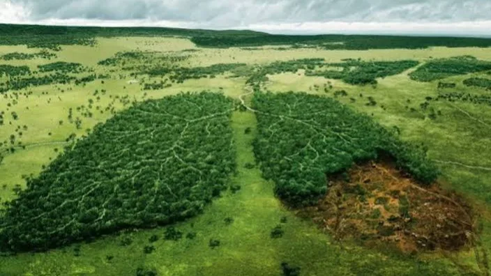 Noruega se convierte en el primer país del mundo en adoptar la deforestación cero
