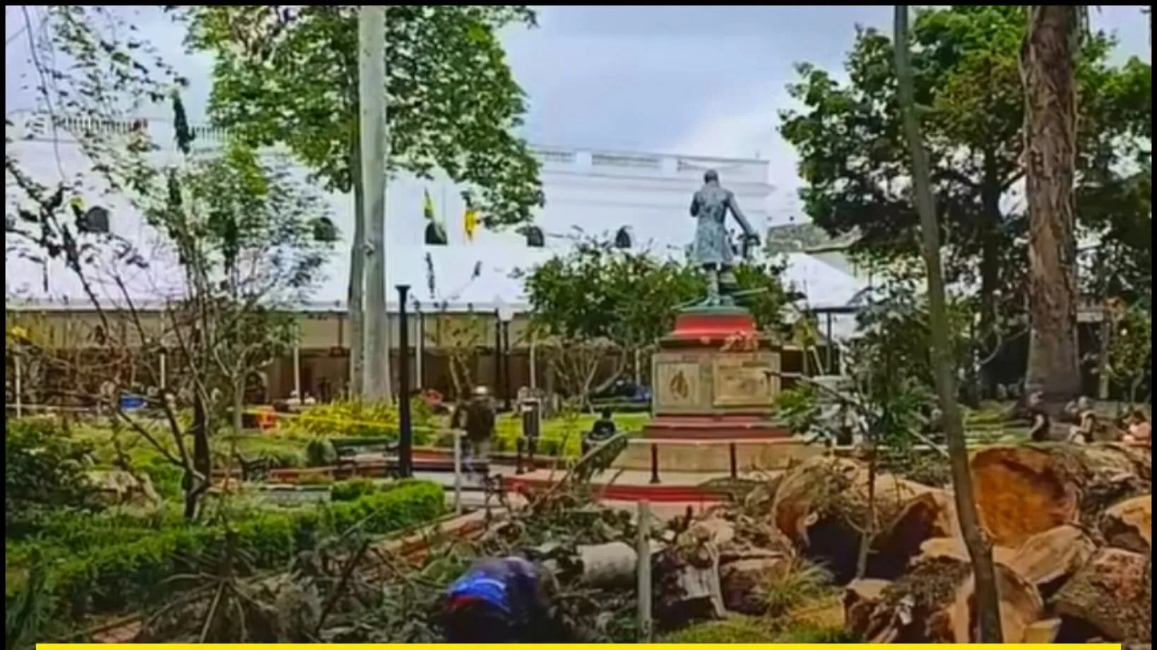 ¿Y para cuándo la siembra de nuevos árboles en el parque?