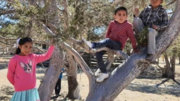 La infancia y adolescencia frente al cambio climático en México