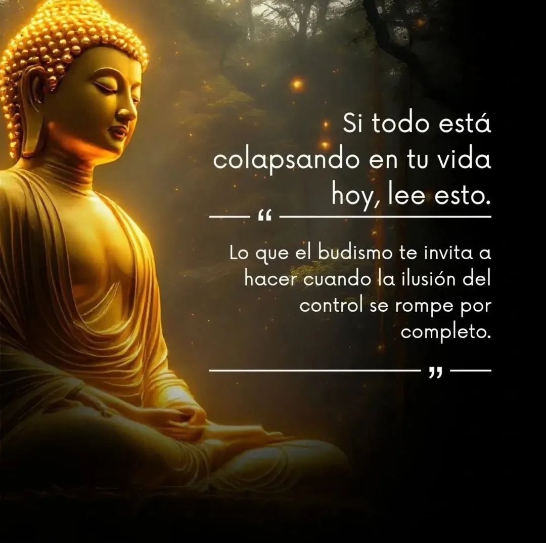 WhatsApp Image 2026 10 26 at 08.41.01