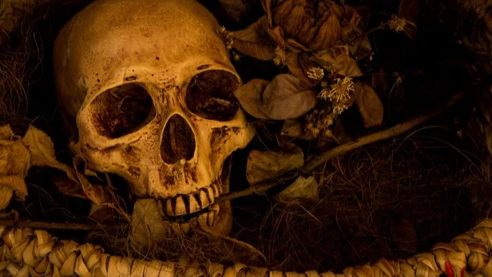 ¿Cuáles son los tours más tenebrosos de Latinoamérica para visitar en Halloween?