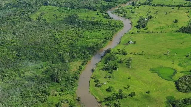 América Latina frena la deforestación un 33%, pero la política pone en riesgo el logro
