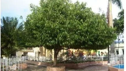 Cabalgatas, música y gastronomía el municipio deCundinamarca queestará defin de semana