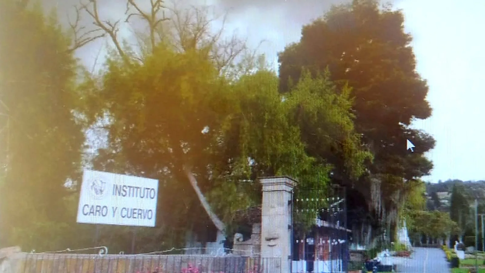 Caro y Cuervo en crisis: futuro incierto de lenguas indígenas