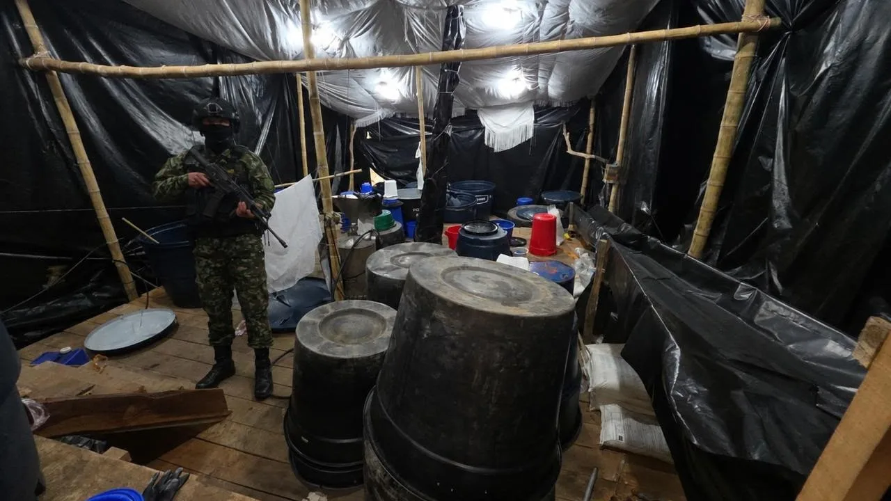 Ejército destruyó complejo de cocaína que presuntamente financiaba al ELN en Nariño
