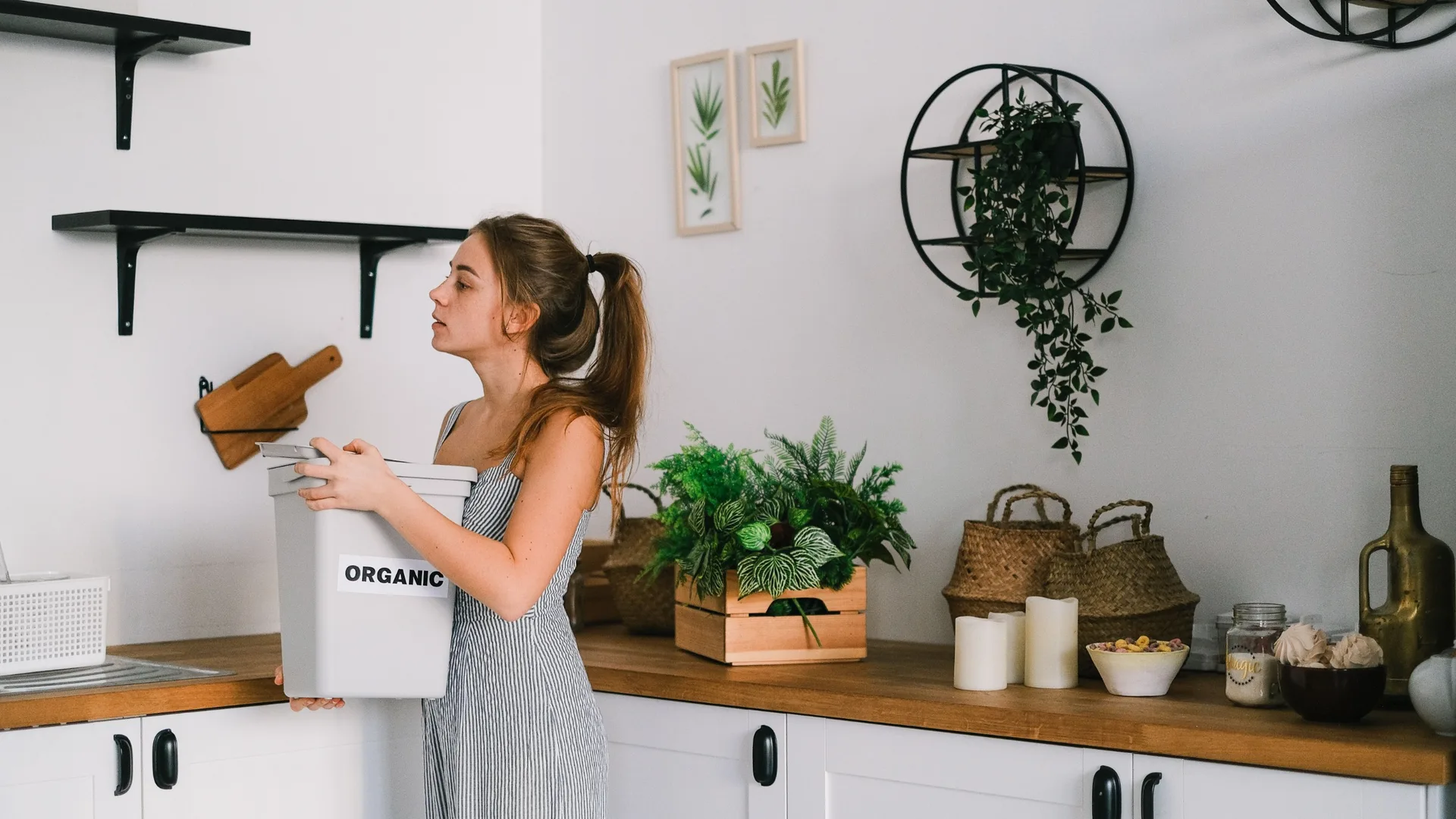 ¿Y si la basura de tu cocina se convirtiera en energía? La tecnología que podría cambiar