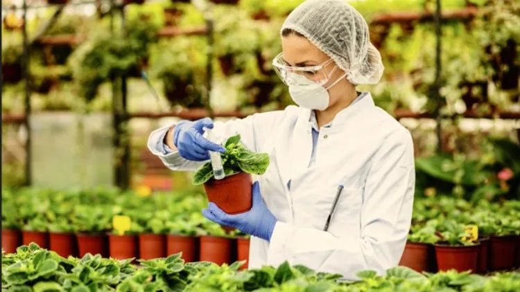 Bioseguridad en plantas de alimentos: cómo prevenir riesgos microbiológicos en Colombia