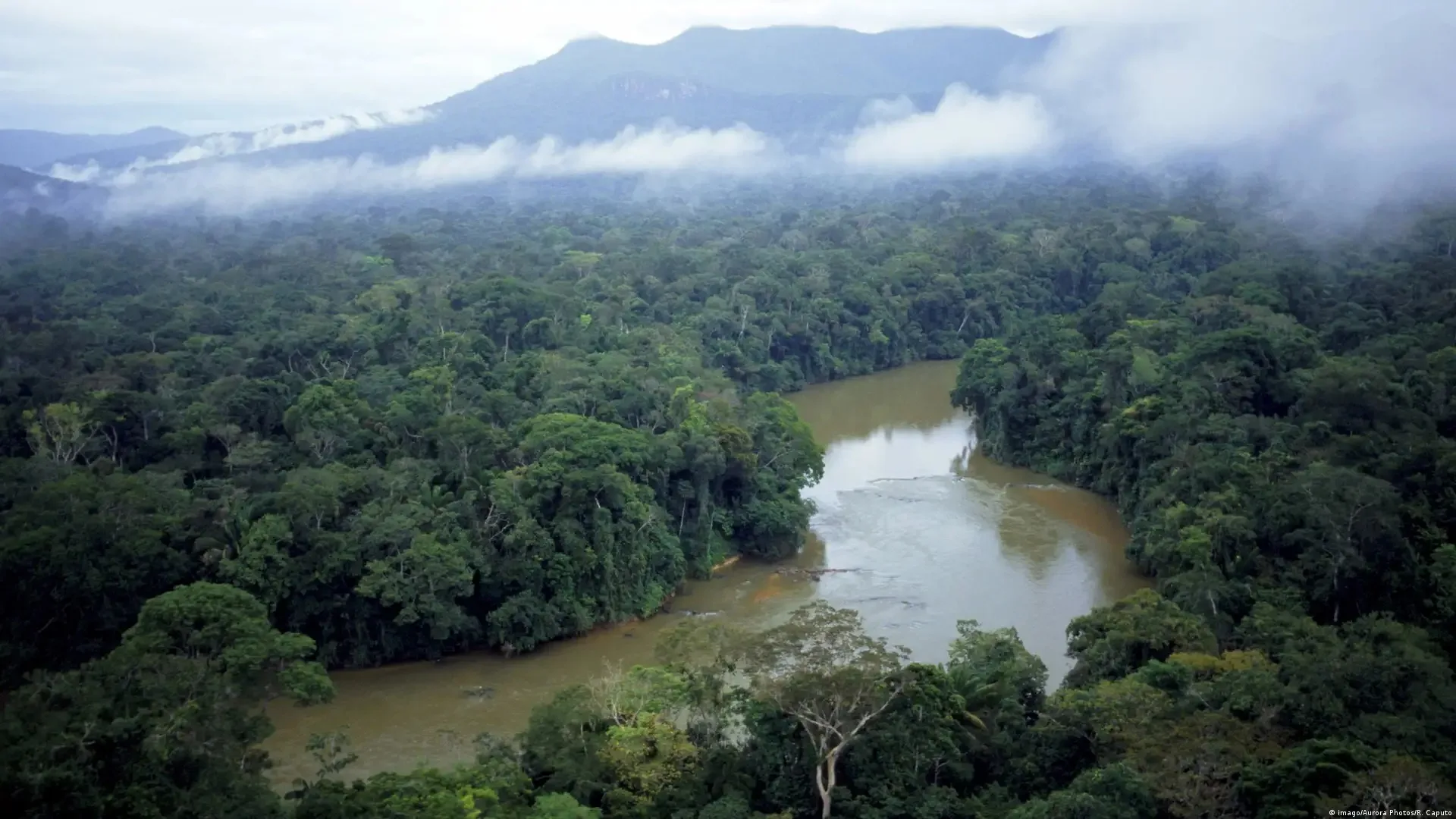 Naciones amazónicas lanzan programa unificado contra la deforestación