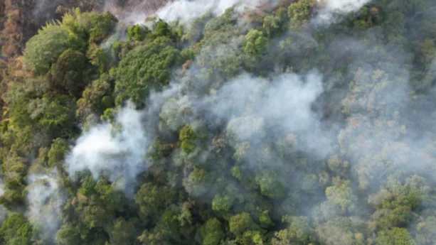 Pasto fortalece la prevención de incendios forestales ante la llegada del Fenómeno