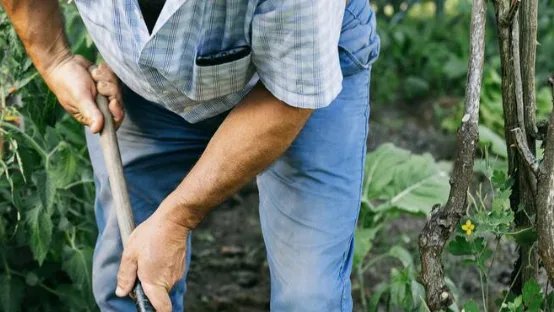 Colombia busca apoyo de Suecia para financiar tres proyectos del agro en 2027