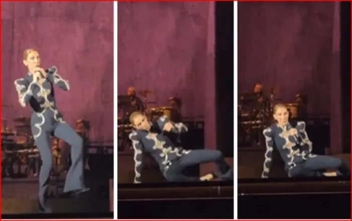 Céline Dion se cayó en el escenario
