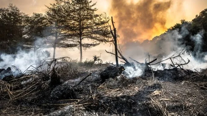 Alerta roja por incendios forestales ante el impacto del Súper Niño