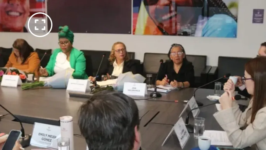 Trabajadoras domésticas tendrán voz en la negociación del salario mínimo de 2027