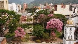Retuvieron a presunto ladrón en Ibagué