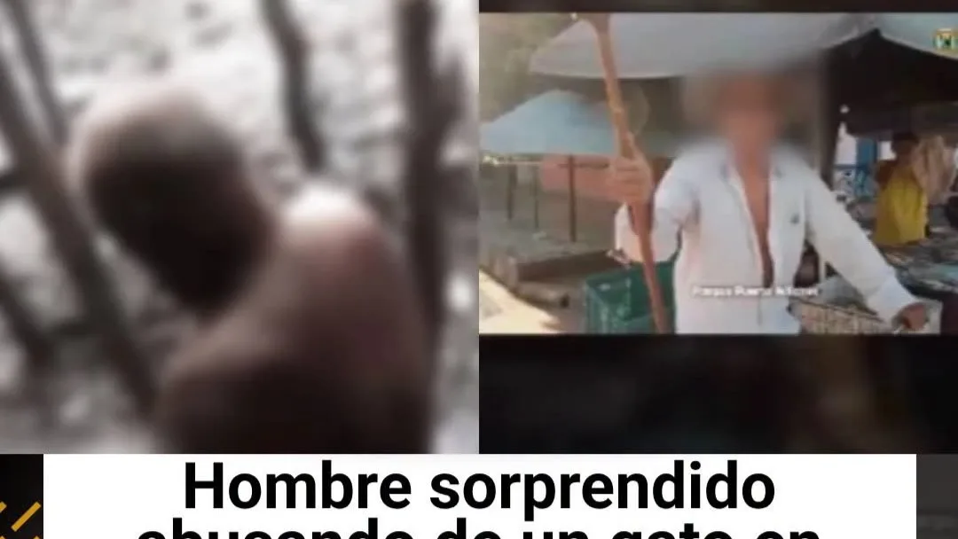 Un caso alarmante de abuso sexual contra un gato ha sido denunciado