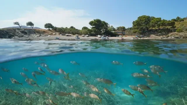 Cambio climático en España: más calor, lluvias extremas y riesgos de inundación