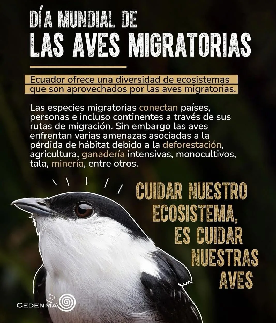Aves Migratorias
