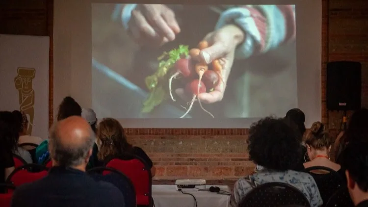 Villa de Leyva acoge la edición 12 del Festival de Cine “Caminos del Tiempo”