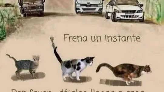 Campaña ‘Frena, hay vida en la vía’ para proteger a los animales de los siniestros viales