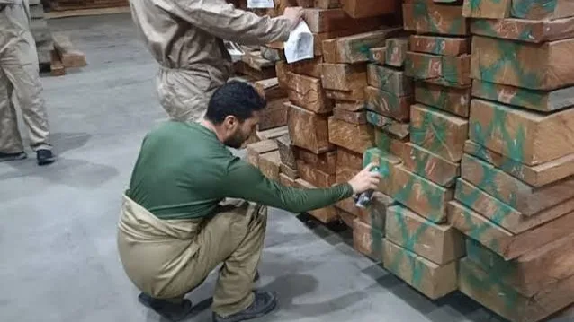 Madera decomisada por tráfico ilegal será utilizada para reconstruir zonas afectadas.